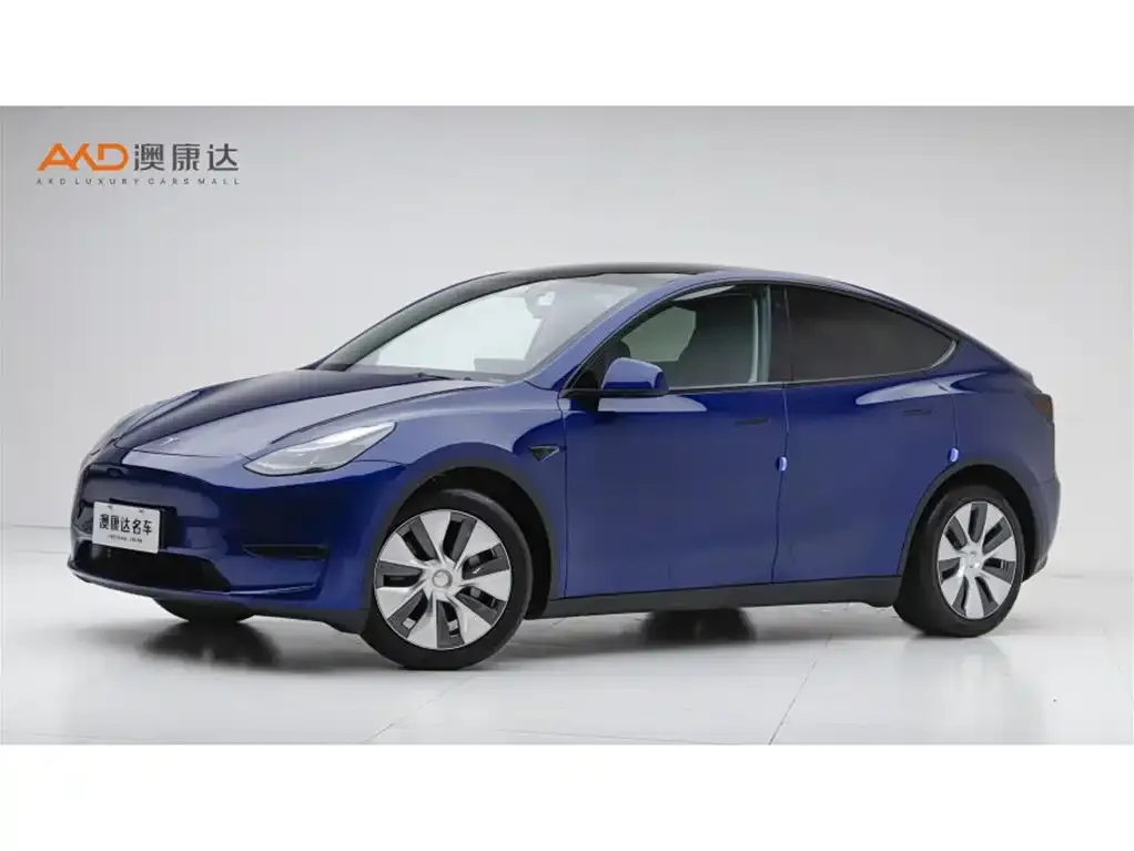 Tesla Model Y — фото 1