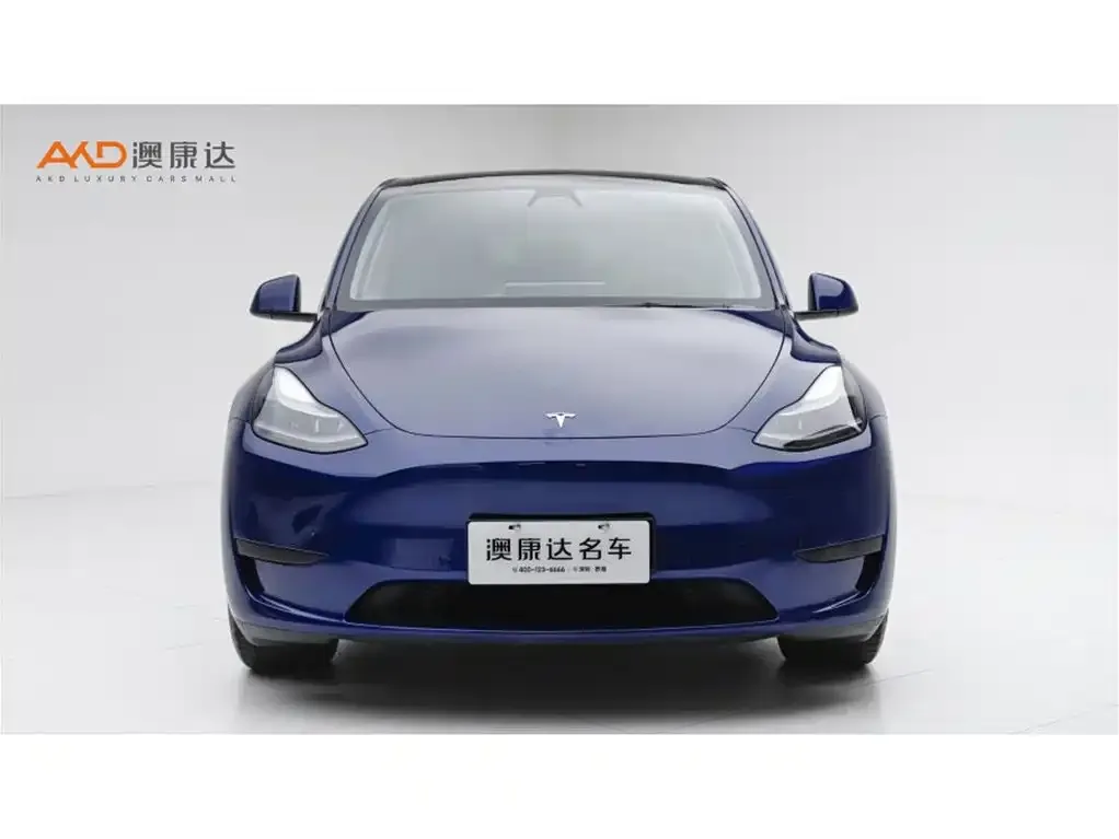 Tesla Model Y — фото 3