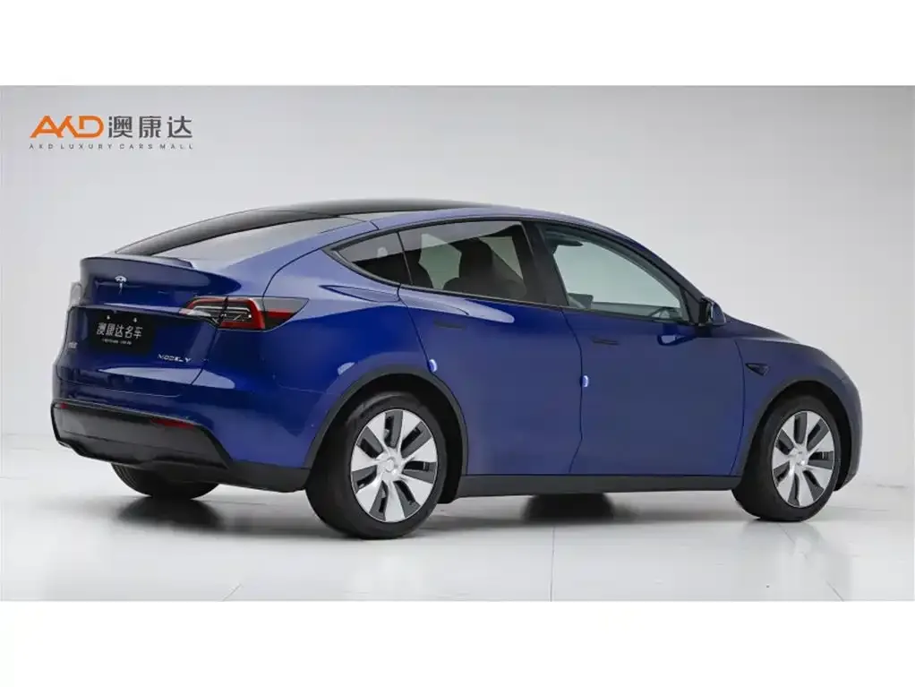 Tesla Model Y — фото 2