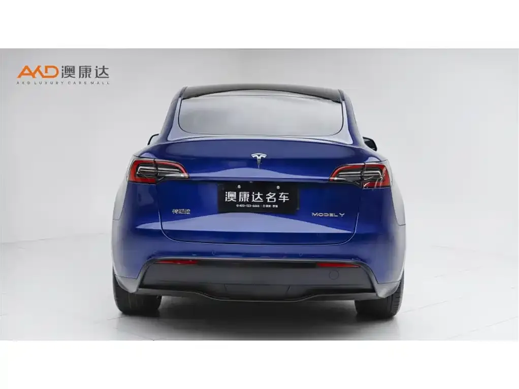 Tesla Model Y — фото 8