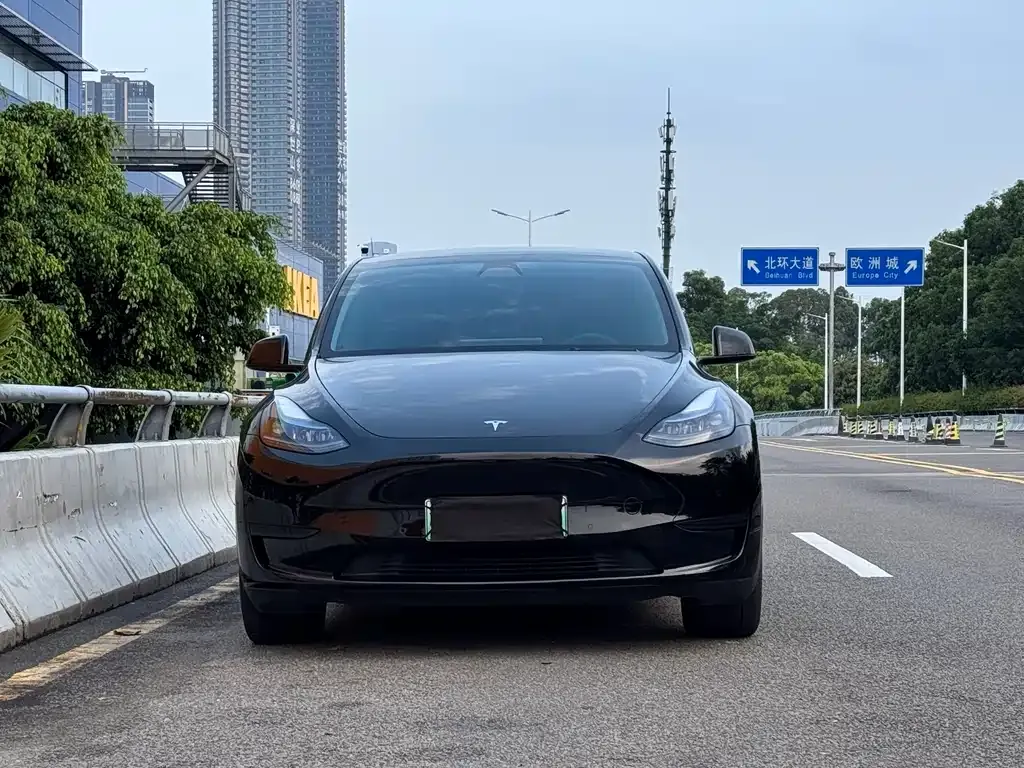 Tesla Model Y — фото 1