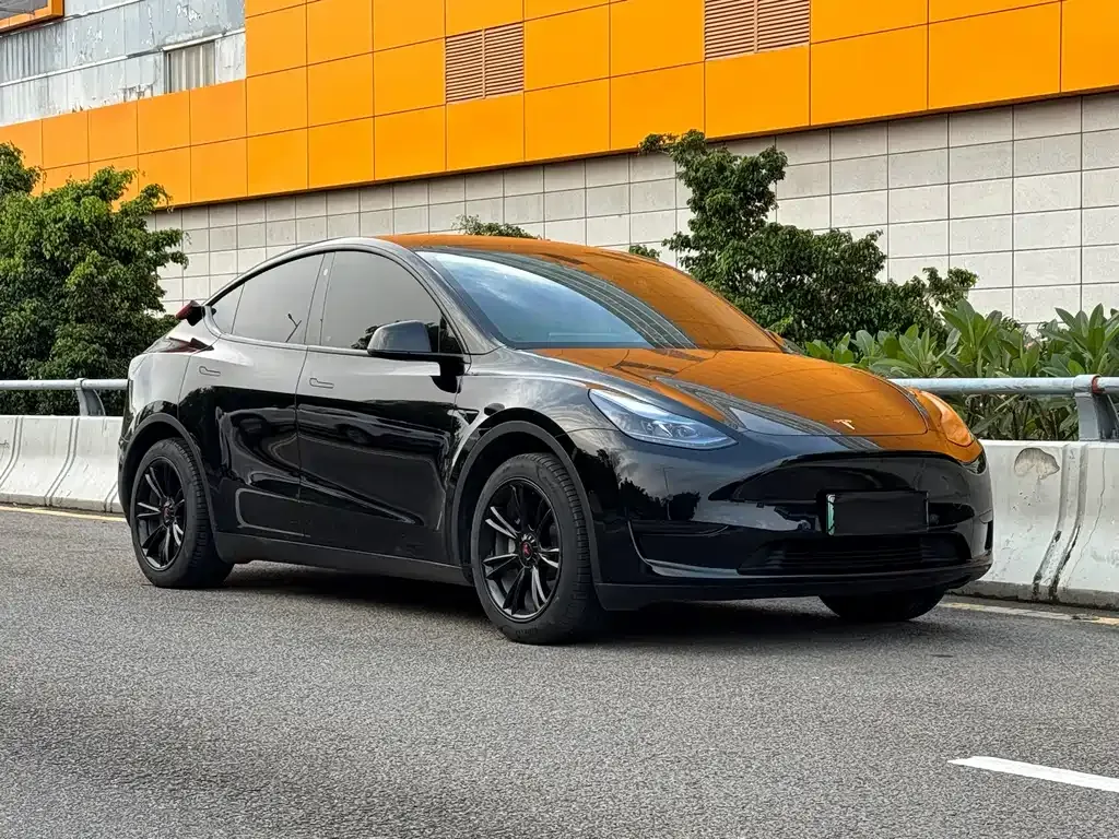 Tesla Model Y — фото 5