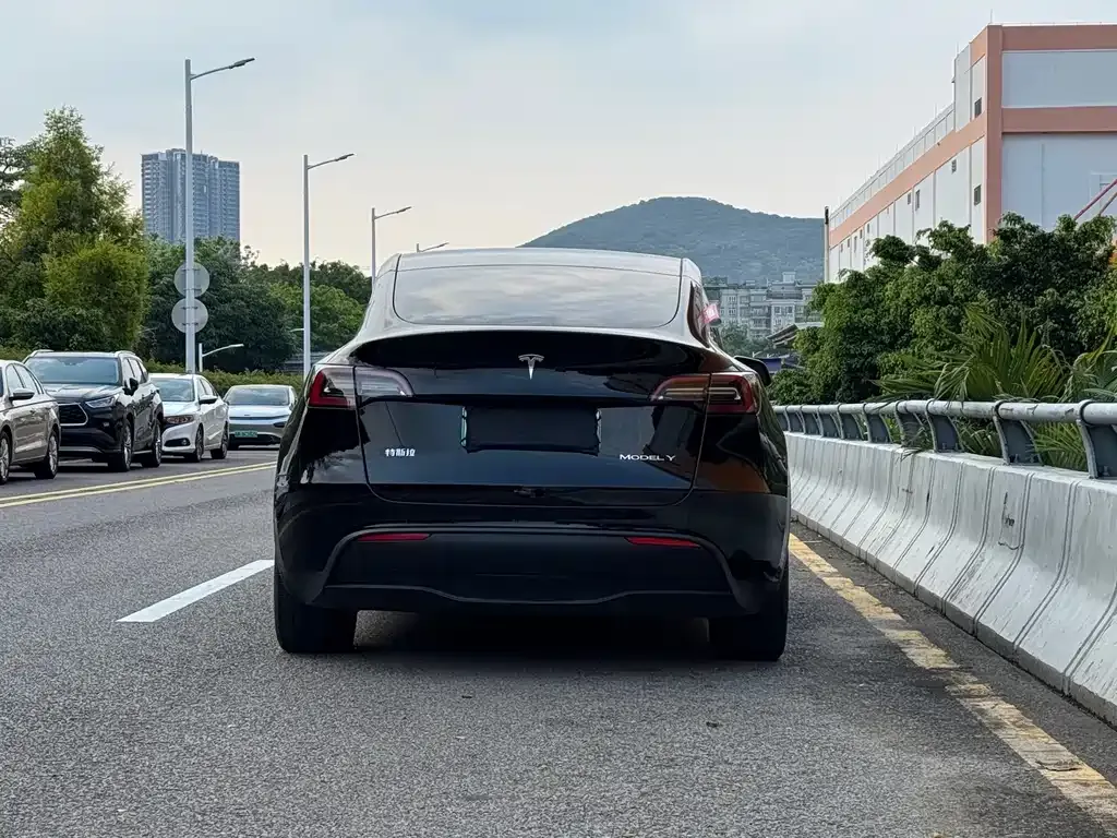 Tesla Model Y — фото 8