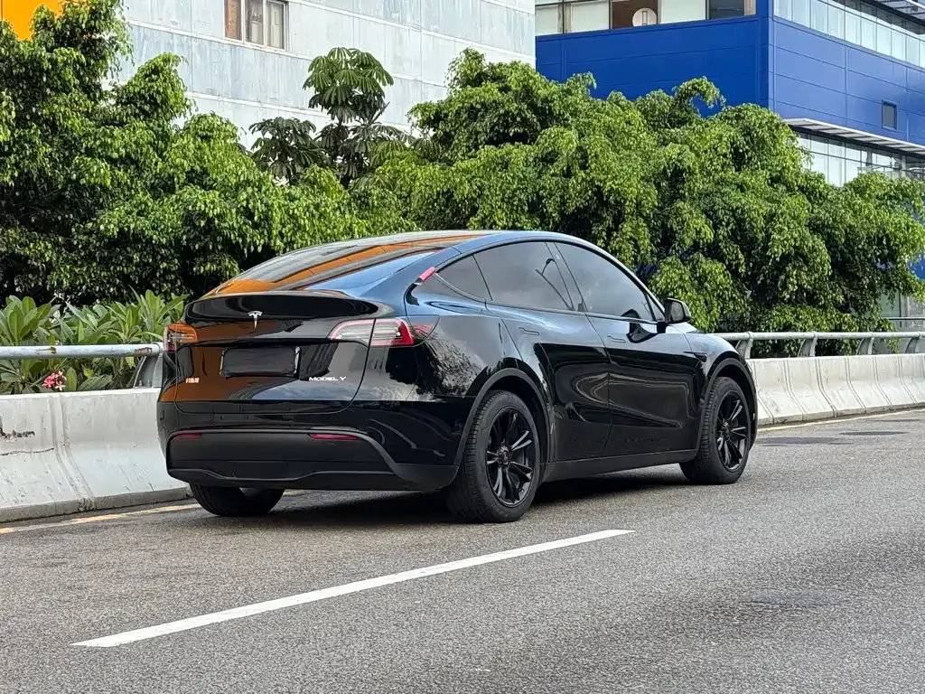 Tesla Model Y — фото 9