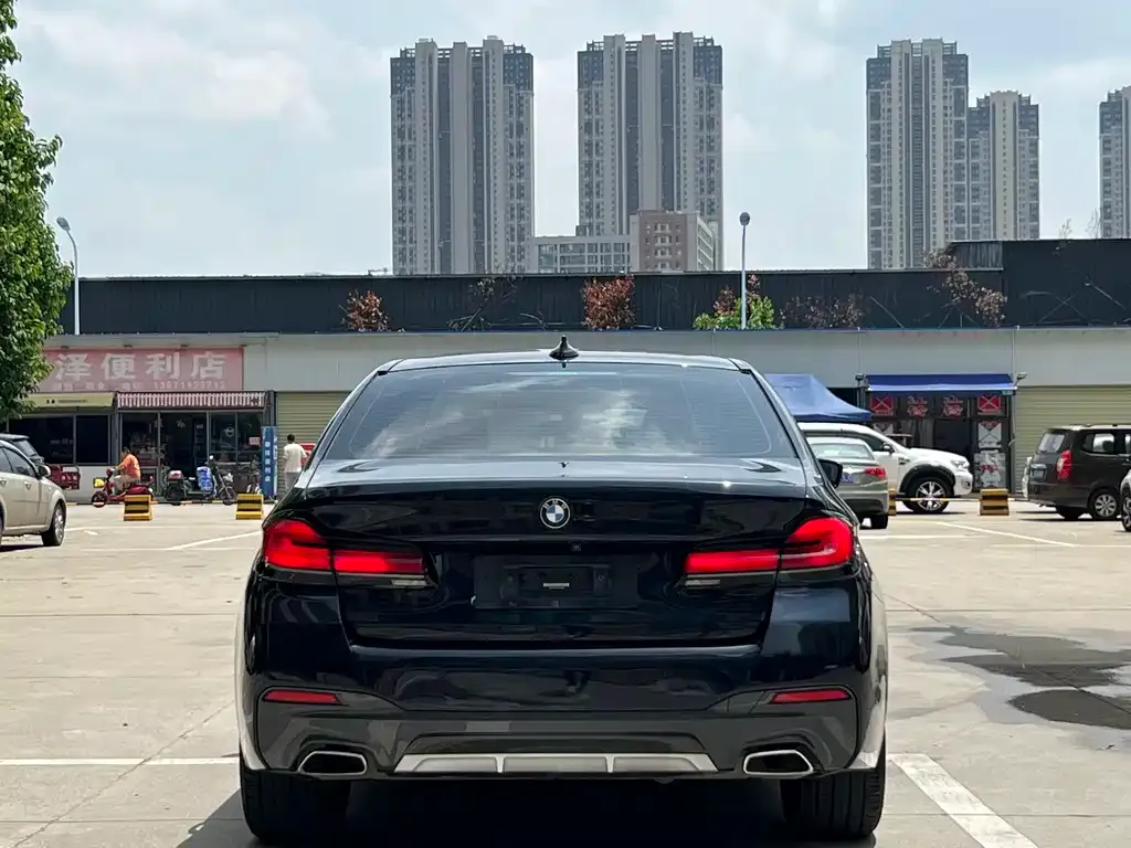 BMW 5 Series 2021 из CN, фото 6