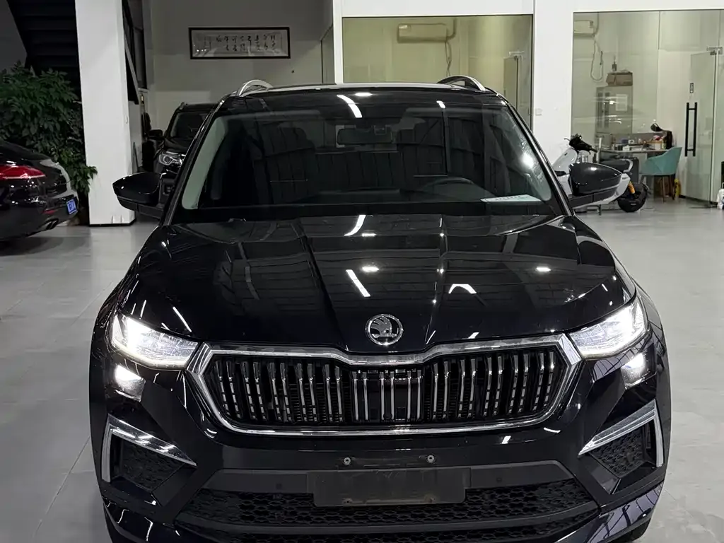 Skoda Kodiaq 2022 из CN, фото 5