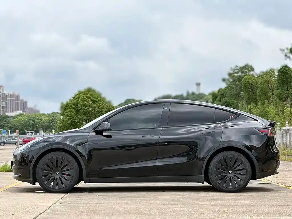 Tesla Model Y — фото 8