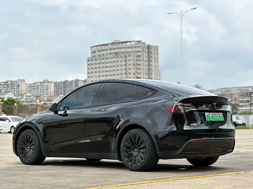 Tesla Model Y — фото 6