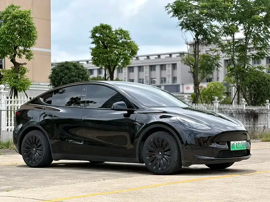 Tesla Model Y — фото 9