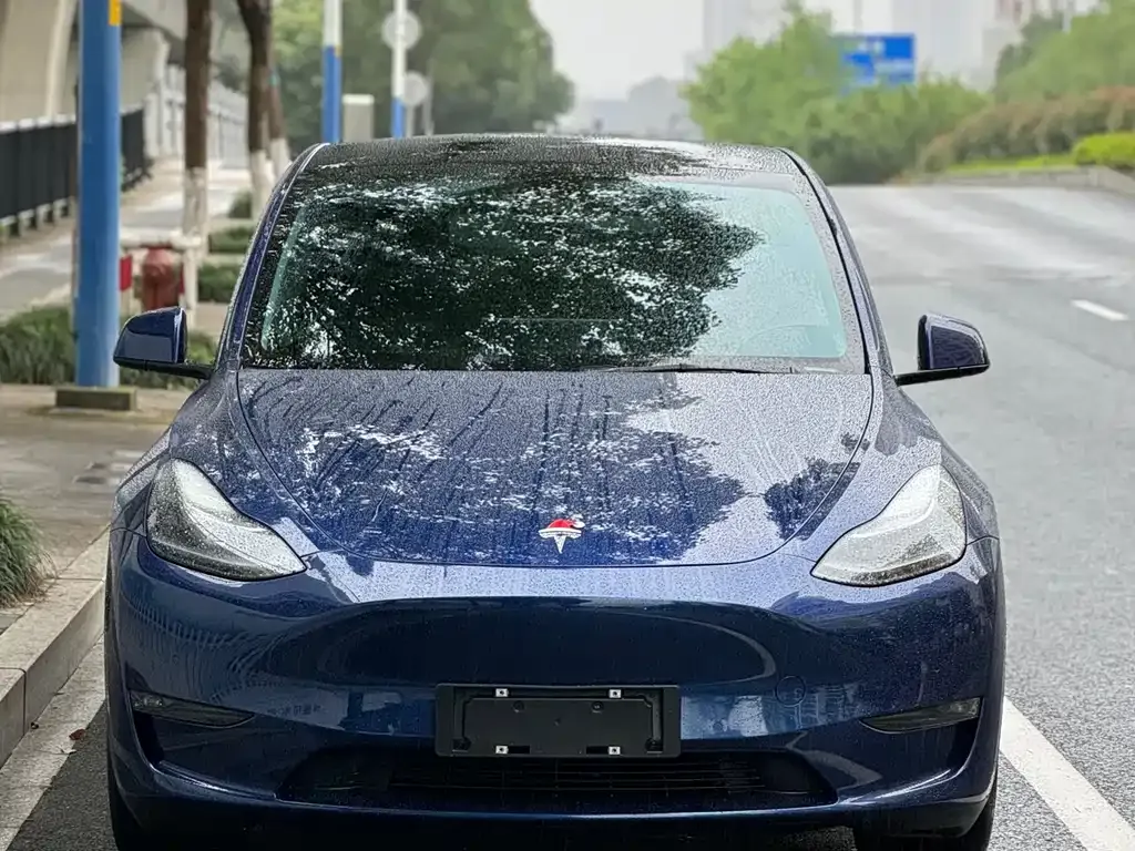 Tesla Model Y — фото 5