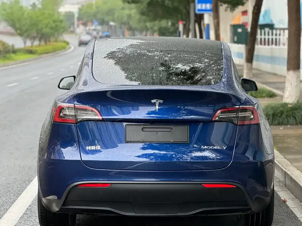 Tesla Model Y — фото 8