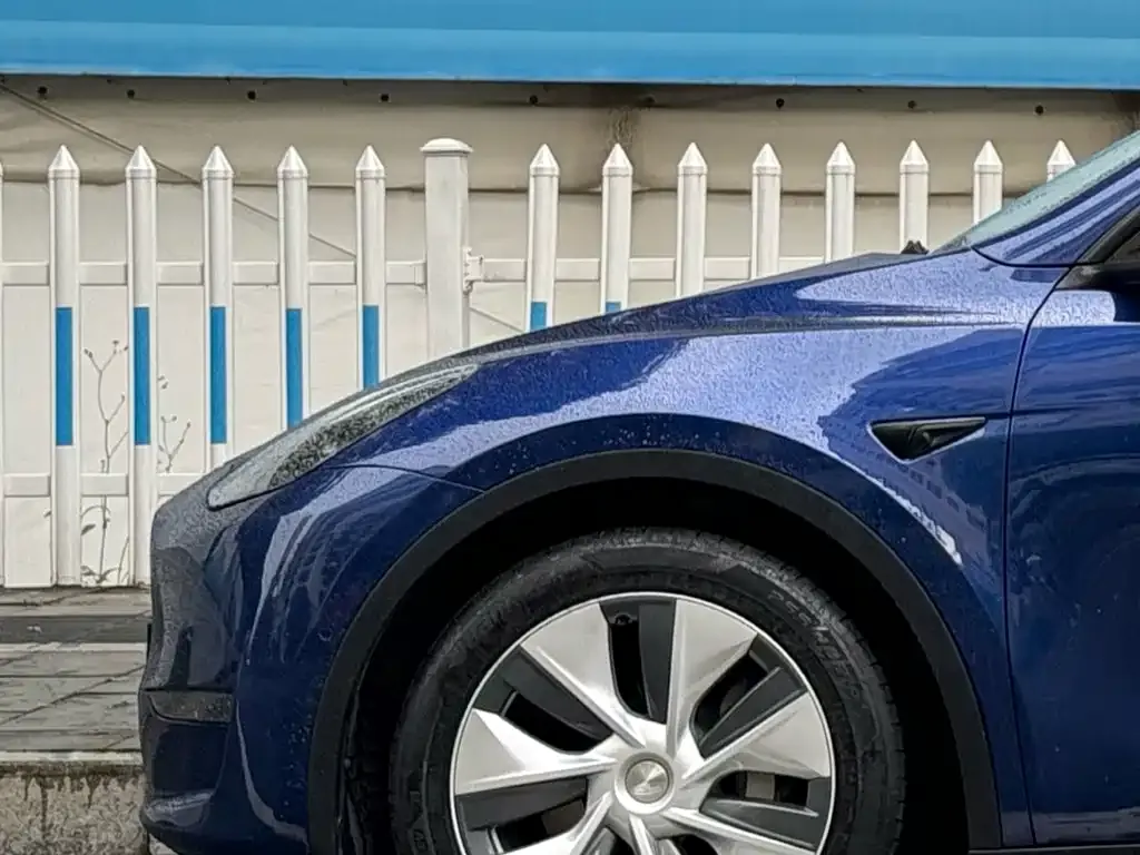 Tesla Model Y — фото 9