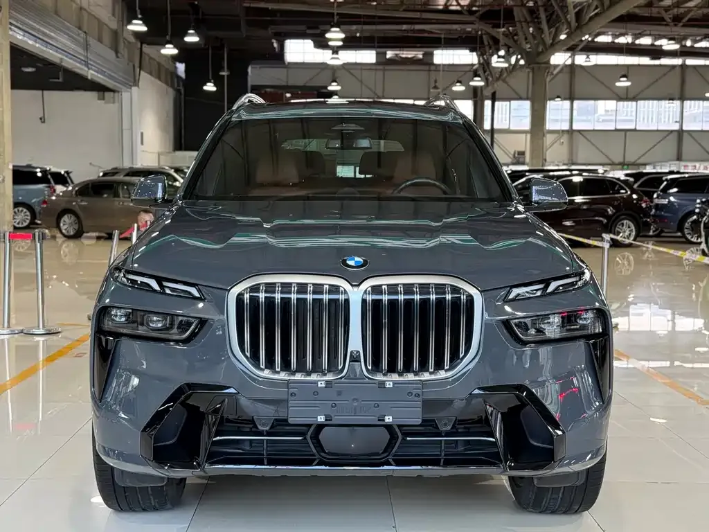 BMW X7 — фото 5