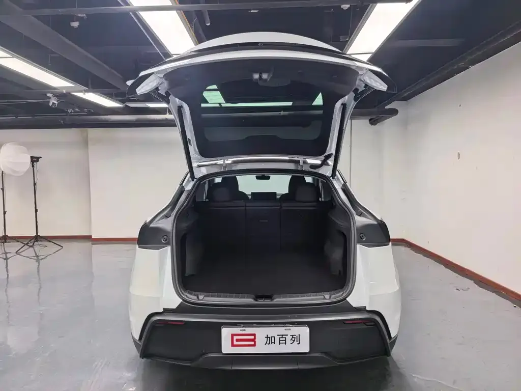 Tesla Model Y — фото 7