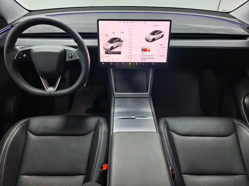 Tesla Model Y — фото 8
