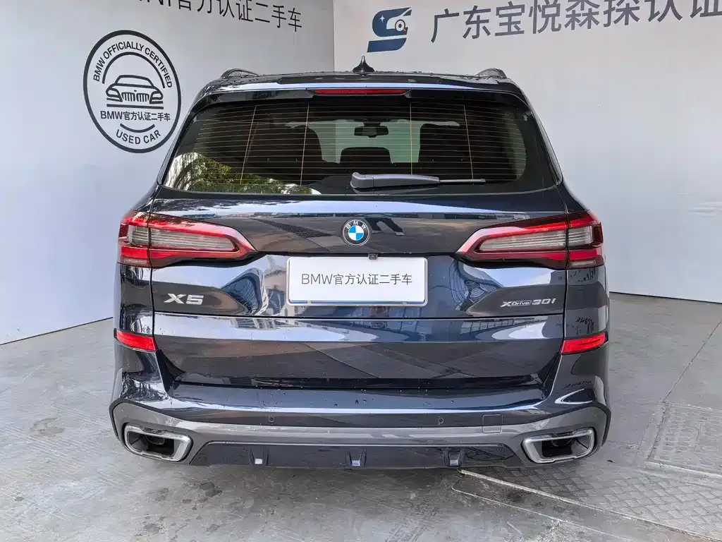 BMW X5 (Import) 2021 из CN, фото 8