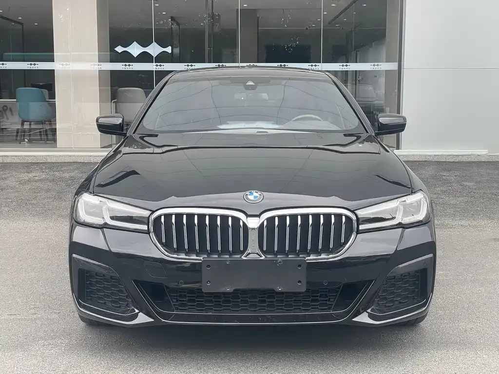 BMW 5 Series 2021 из CN, фото 2