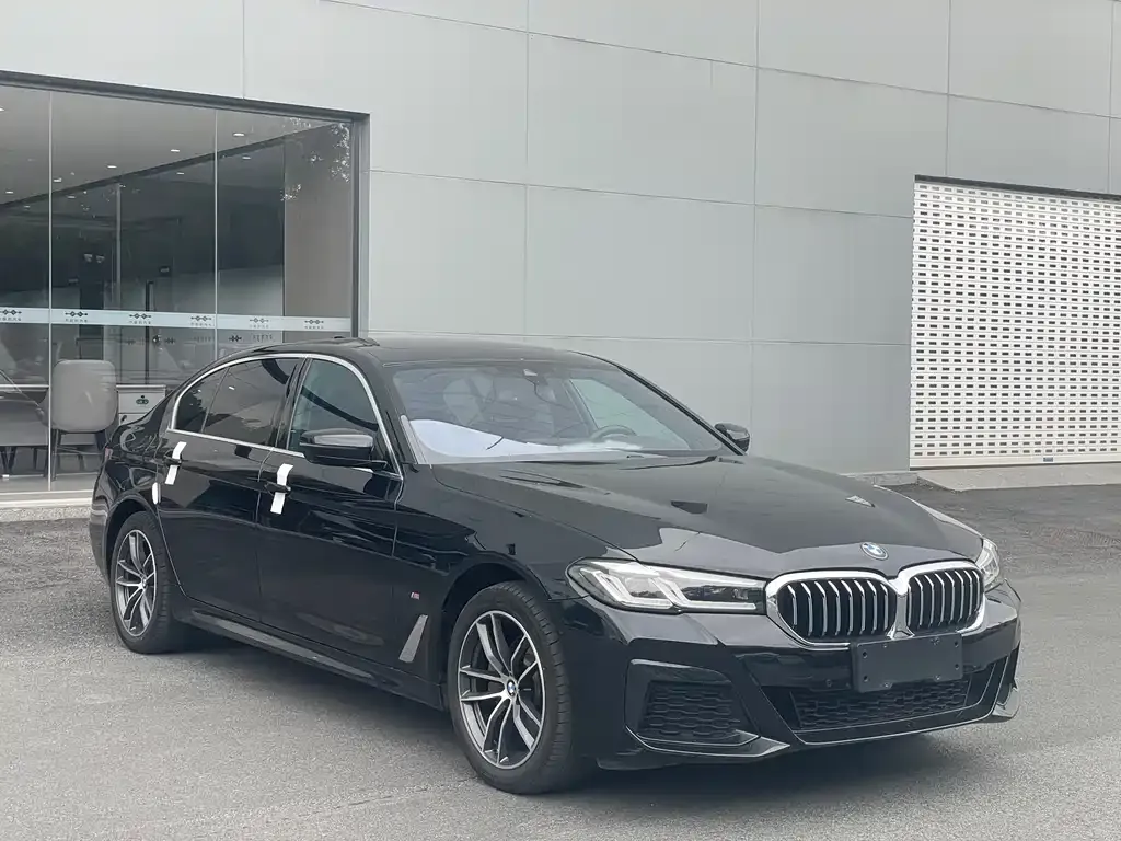 BMW 5 Series 2021 из CN, фото 4