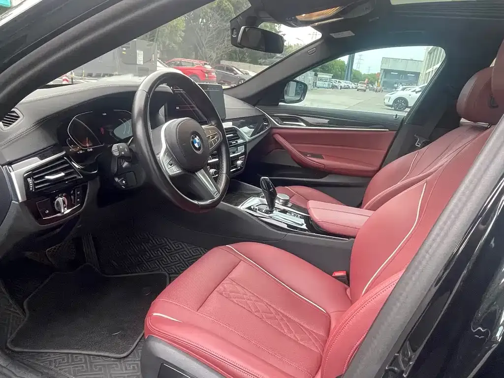 BMW 5 Series 2021 из CN, фото 6
