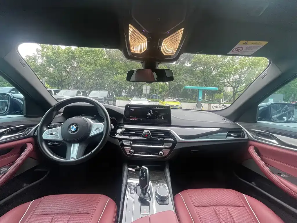 BMW 5 Series 2021 из CN, фото 8