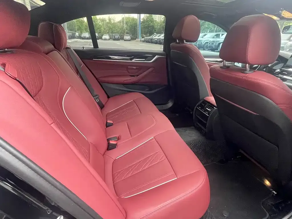 BMW 5 Series 2021 из CN, фото 7