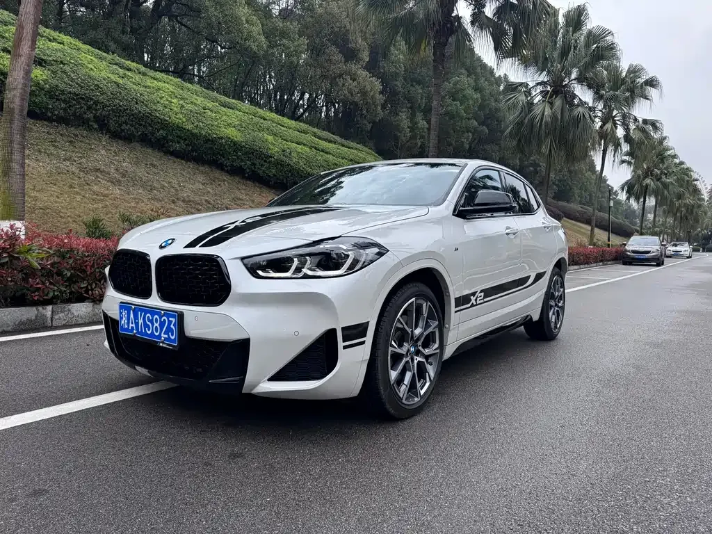 BMW X2 — фото 1