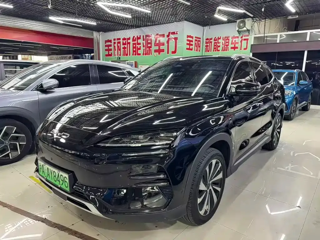 BYD PLUS New Energy — фото 1