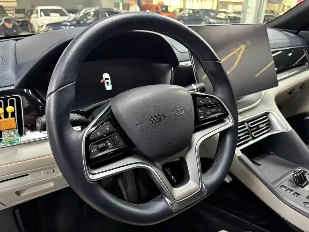BYD PLUS New Energy — фото 9