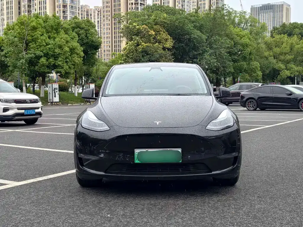 Tesla Model Y — фото 6