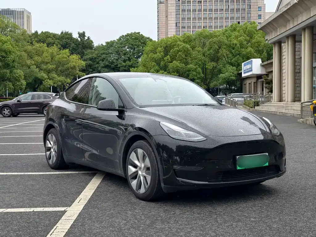 Tesla Model Y — фото 5