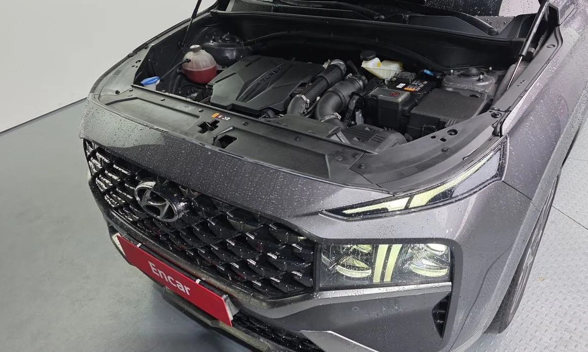 Hyundai Santafe 2021 из KR, фото 9