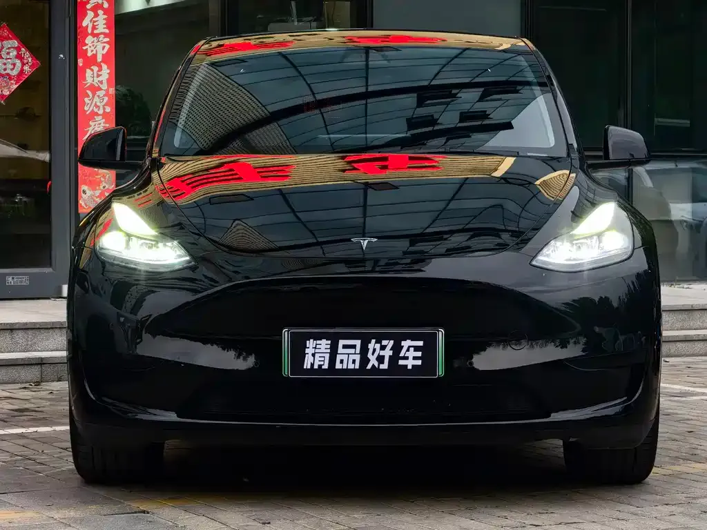 Tesla Model Y — фото 8