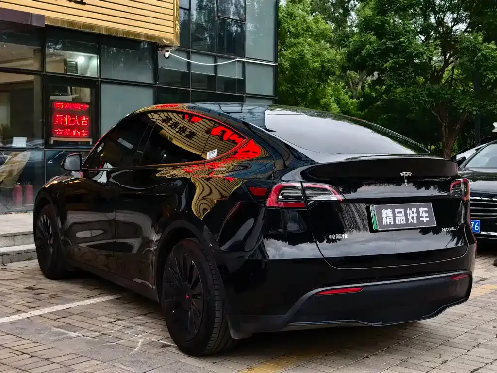 Tesla Model Y — фото 10