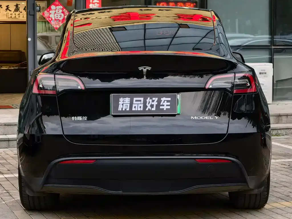 Tesla Model Y — фото 3