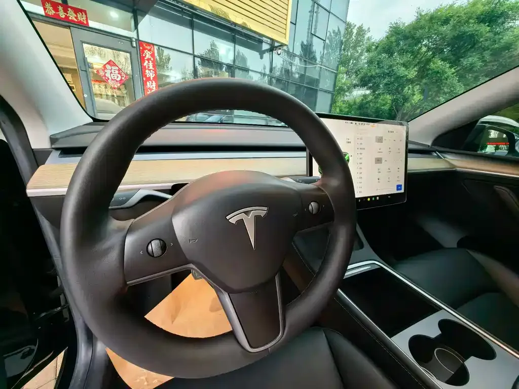 Tesla Model Y — фото 9