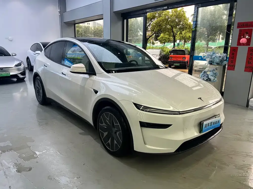 Tesla Model Y L 2025 из CN, фото 6