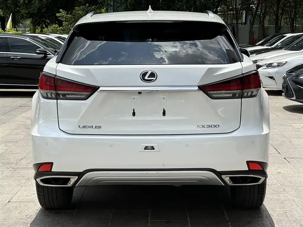 Lexus RX — фото 4