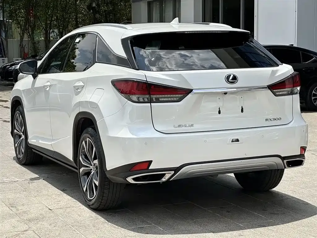 Lexus RX — фото 5
