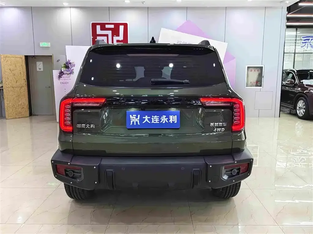 Haval Big Dog — фото 4