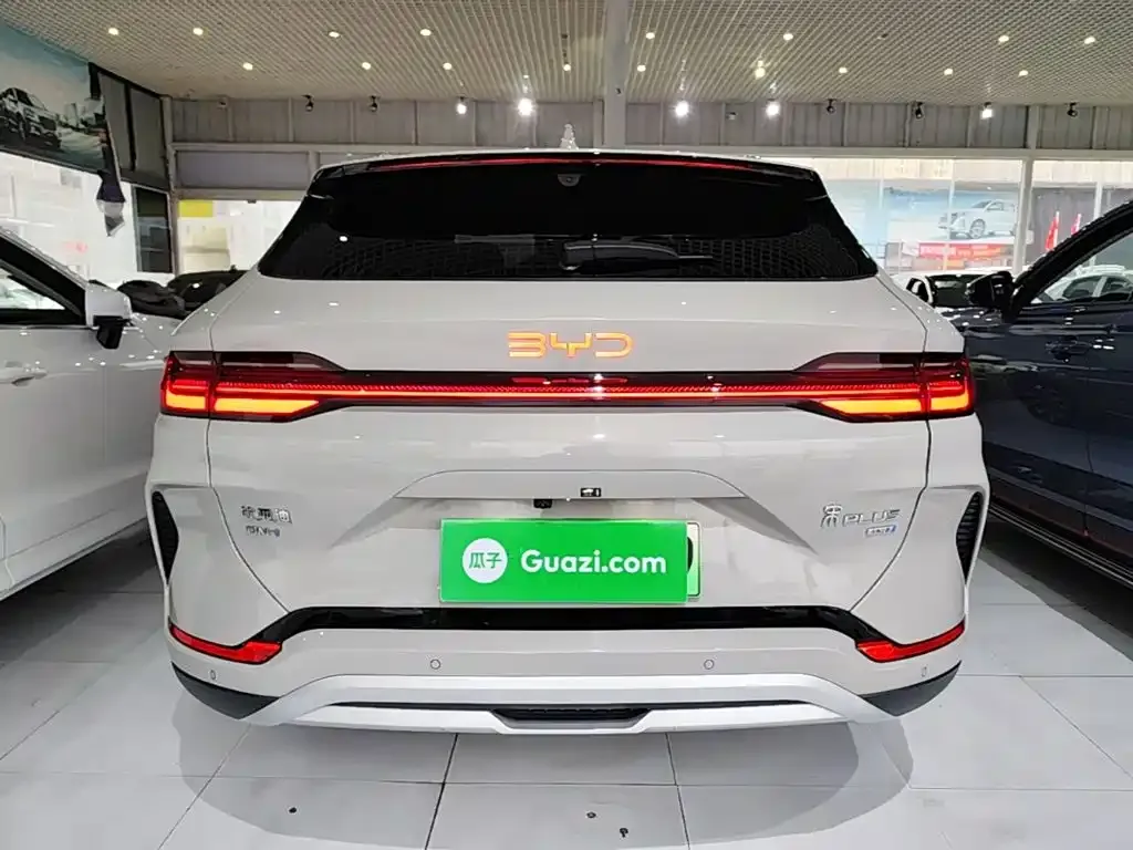 BYD PLUS New Energy — фото 8