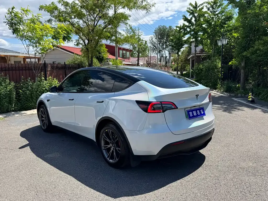 Tesla Model Y — фото 9