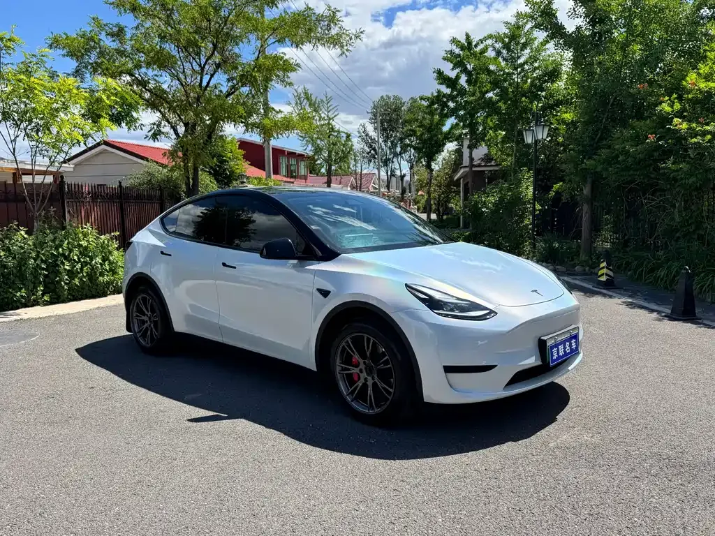 Tesla Model Y — фото 8
