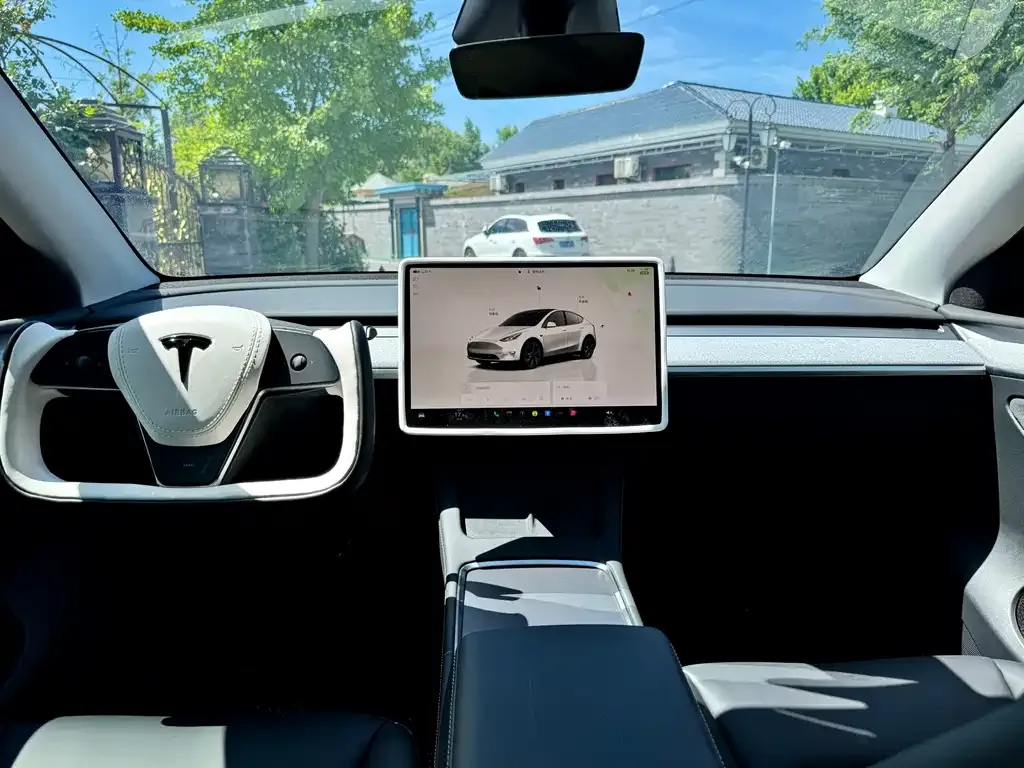 Tesla Model Y — фото 10