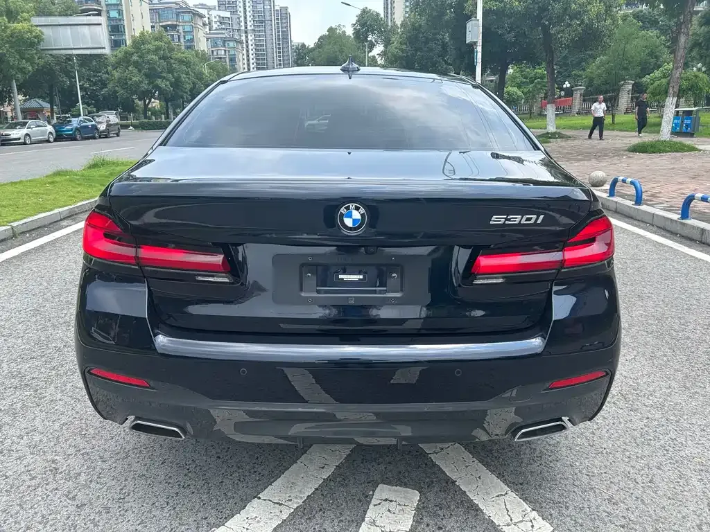 BMW 5 Series (Import) 2023 из CN, фото 10