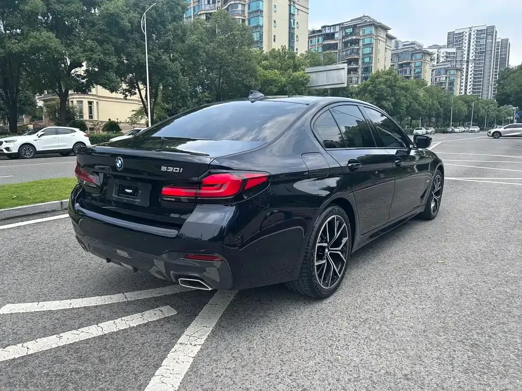 BMW 5 Series (Import) 2023 из CN, фото 3