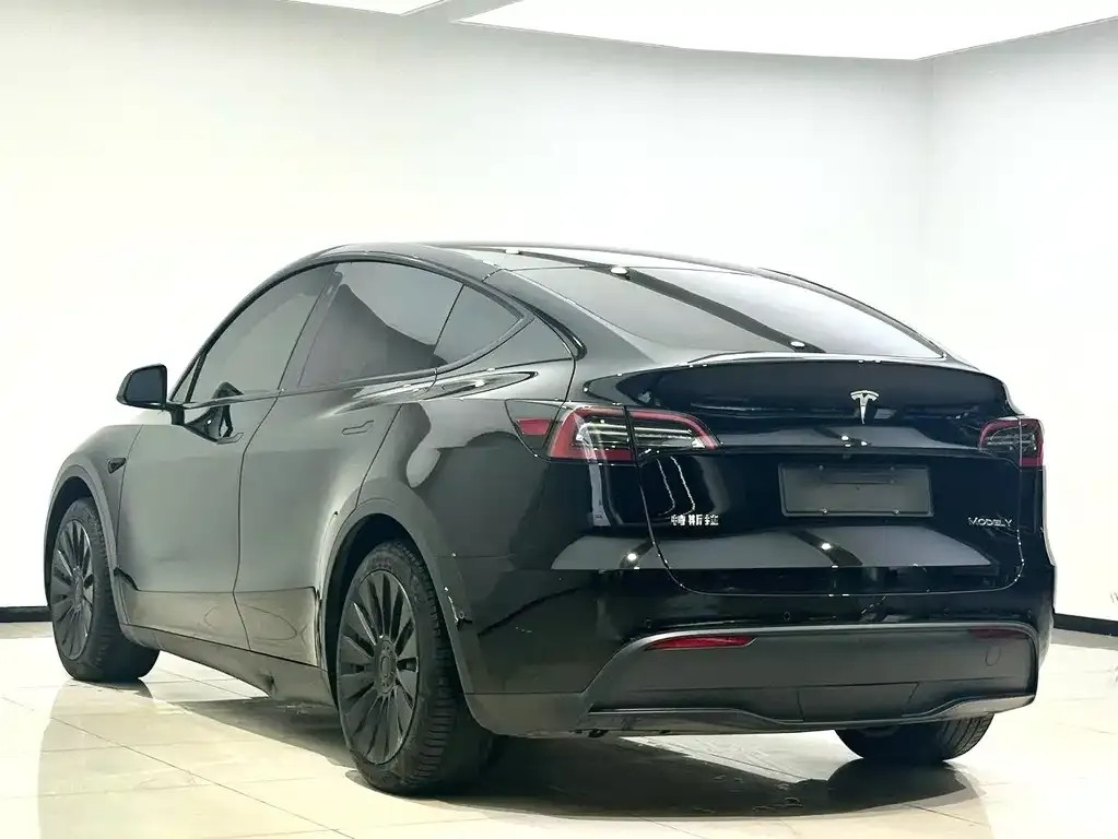 Tesla Model Y — фото 9