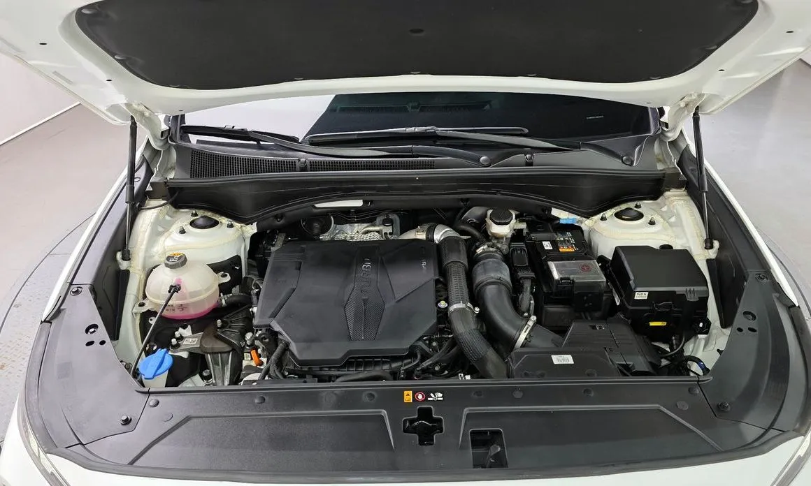 Hyundai Santafe 2021 из KR, фото 8