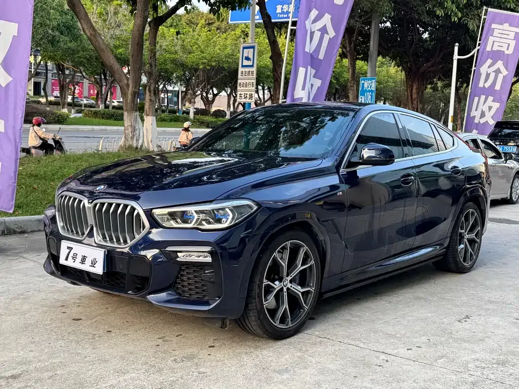 BMW X6