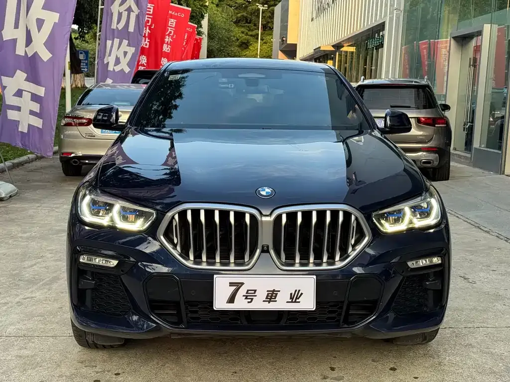 BMW X6 2021 из CN, фото 6