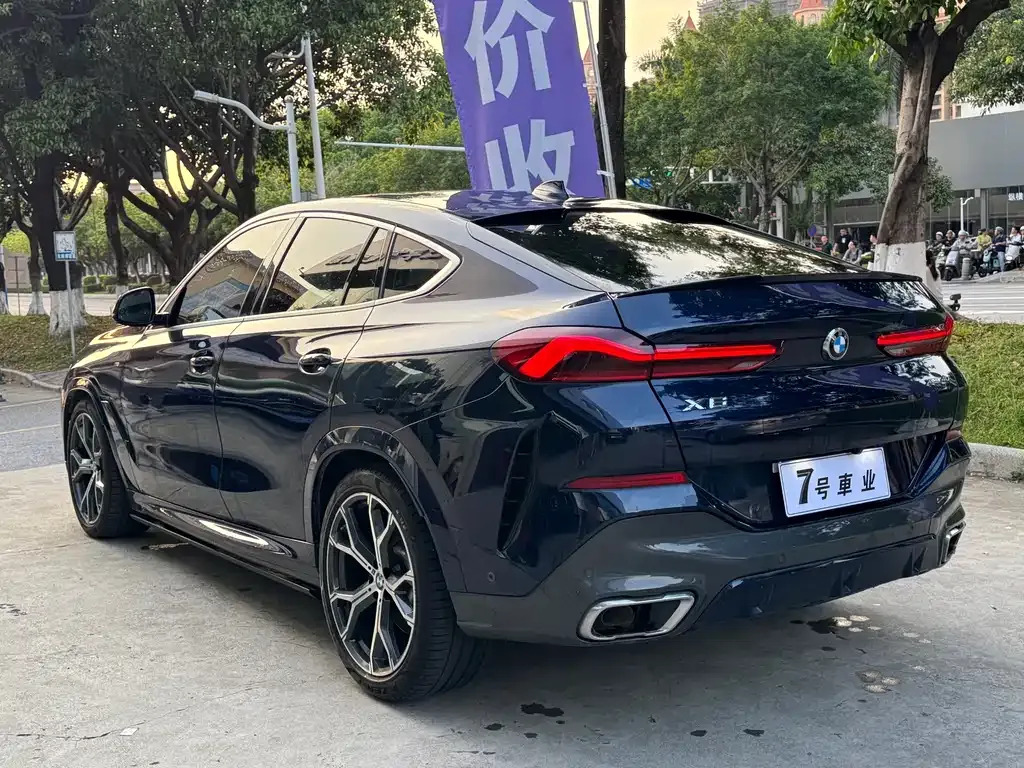 BMW X6 2021 из CN, фото 7